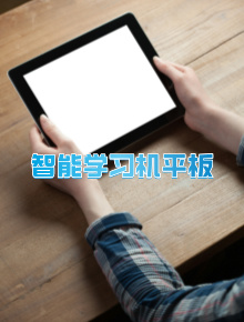 单独卖学习机